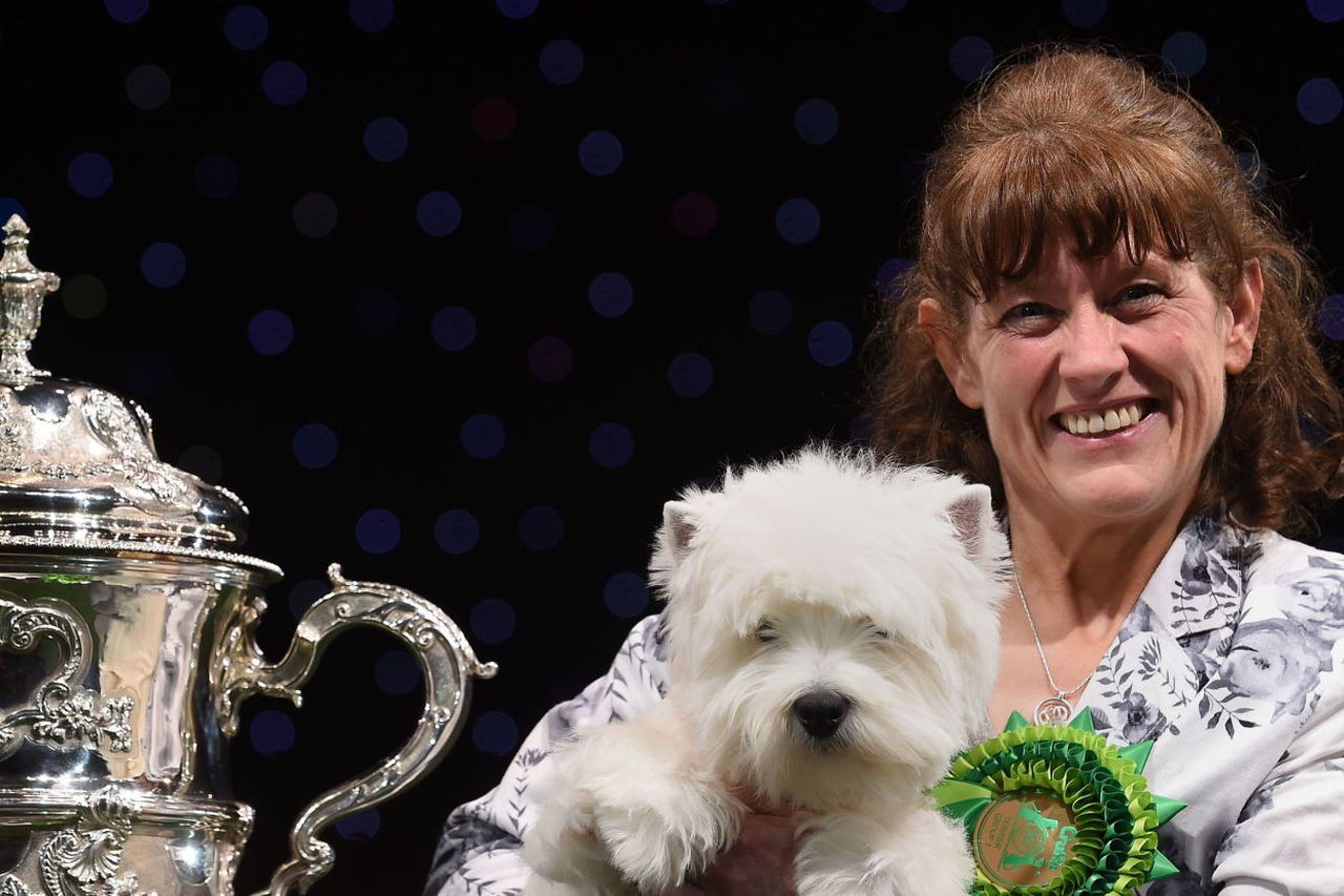 Best in show crufts 2024 2016