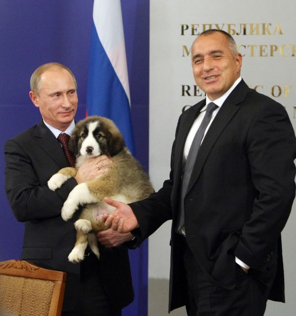 Putin puppy best sale