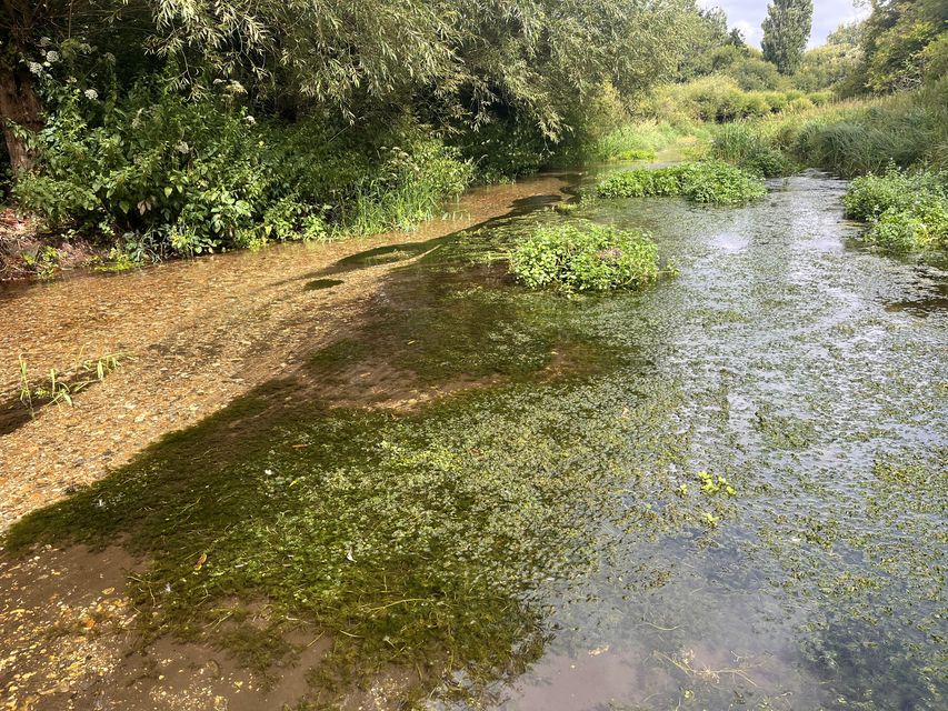 The lagoons over gravel beds at Lemsford Springs (Emily Beament/PA)