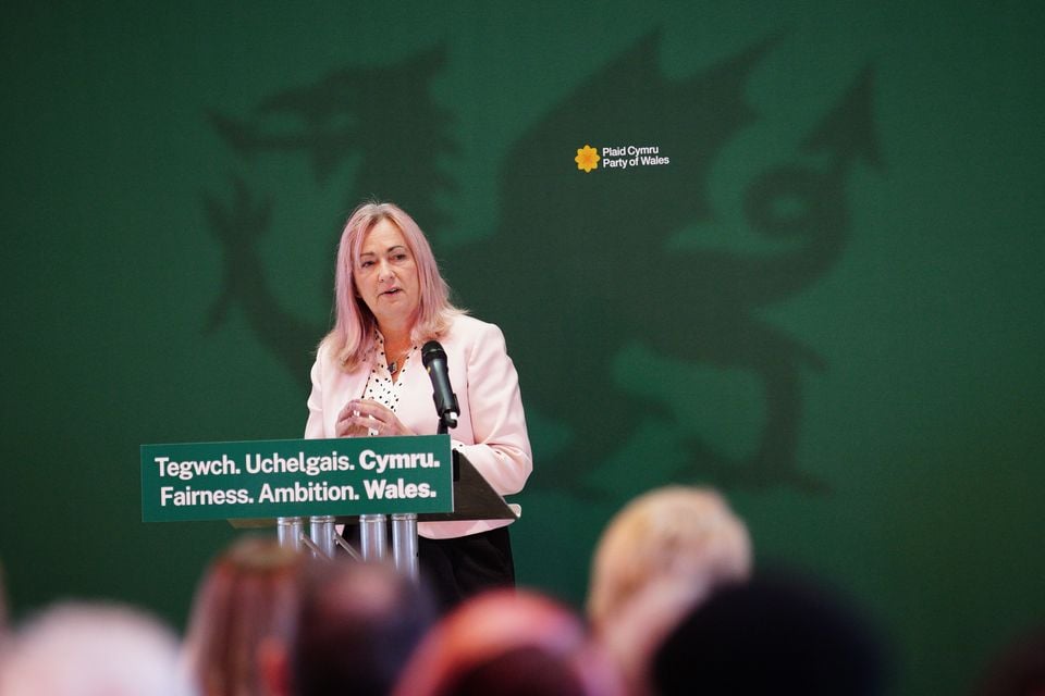 Plaid Cymru Westminster leader Liz Saville Roberts (Ben Birchall/PA)