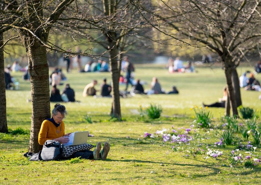 A lady sits in the shade in Regent's Park, central London