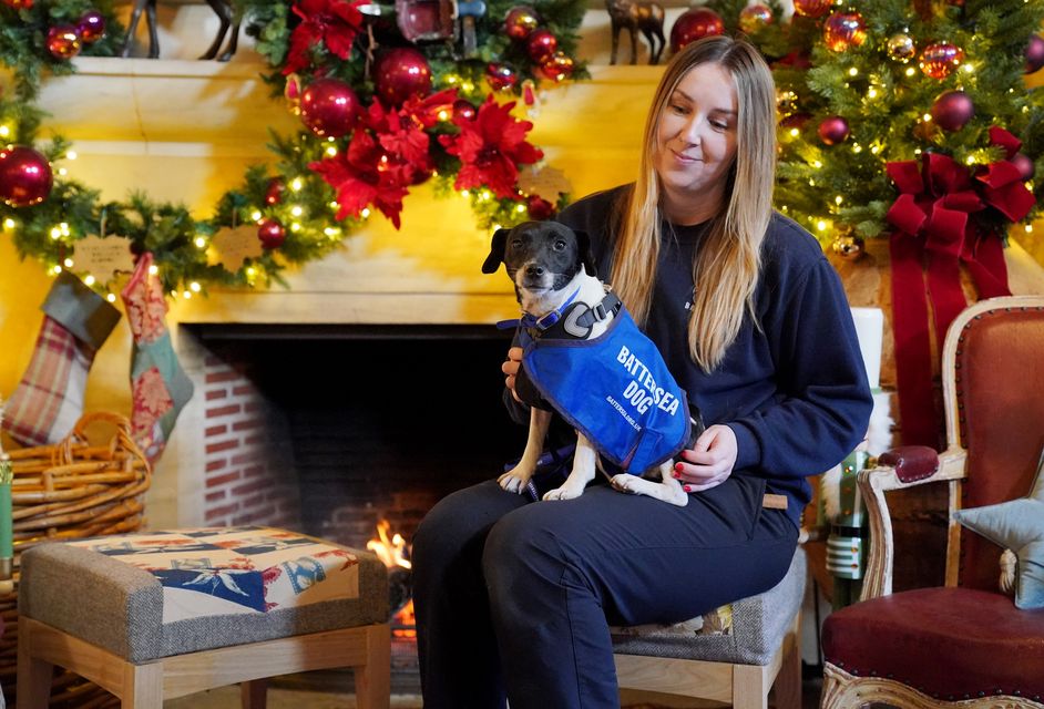 Dog handler Chloe Wainwright with Harper, a jack russell terrier, at Highgrove (Jonathan Brady/PA)