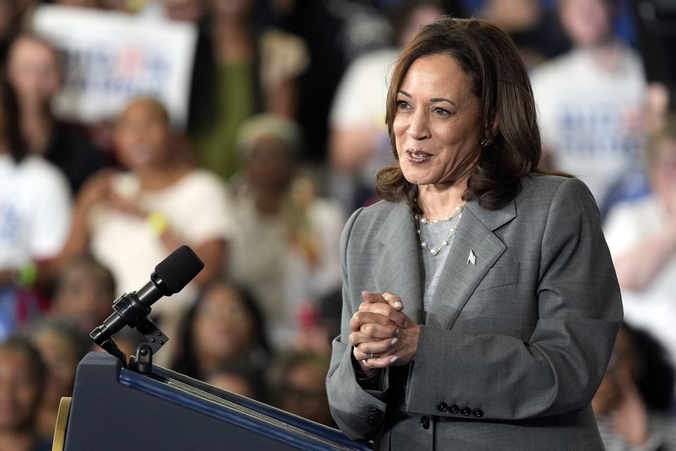 The poll shows that six in 10 Democrats think that Vice President Kamala Harris would make a good president (AP Photo/Chuck Burton)