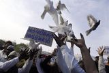 thumbnail: Indian Muslims, release  pigeons during a protest against terrorist attacks in Mumbai, as a placard reads " Kill terror not terrorist " in Ahmadabad, India, Saturday, Nov. 29, 2008. Indian commandos killed the last remaining gunmen holed up at a luxury Mumbai hotel Saturday, ending a 60-hour rampage through India's financial capital by suspected Islamic militants that killed people and rocked the nation. (AP Photo/Ajit Solanki)