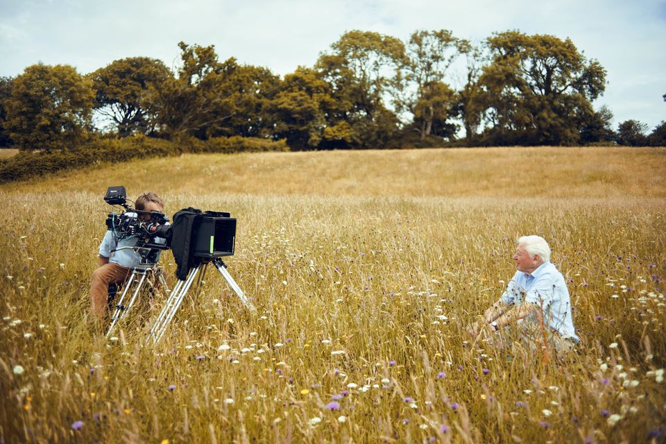 Sir David Attenborough films in a flowery meadow in Dorset (BBC/Silverback Films/Alex Board/PA)