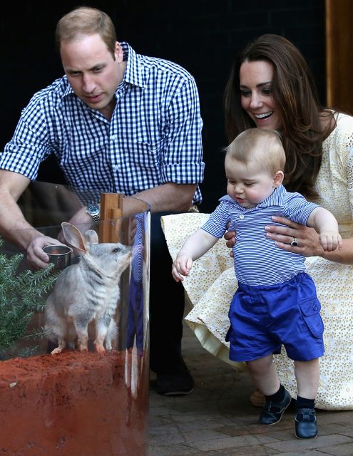 William, Kate and Prince George meet a bilby called George at Taronga Zoo in Sydney in 2014 (Chris Jackson/PA)