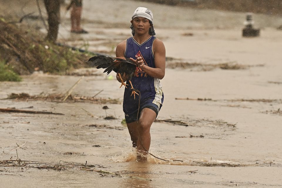 A resident carries a rooster along floods from a swollen river caused by heavy rains from Typhoon Toraji (AP Photo/Noel Celis)