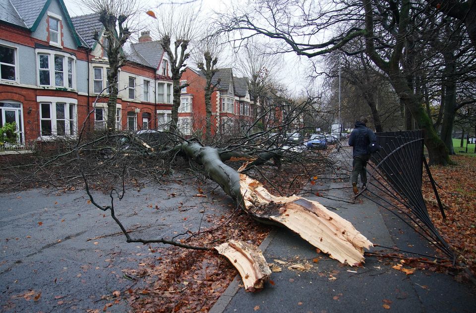 Part of a fallen tree which hit a car in Greenbank Road, Liverpool (Peter Byrne/PA)