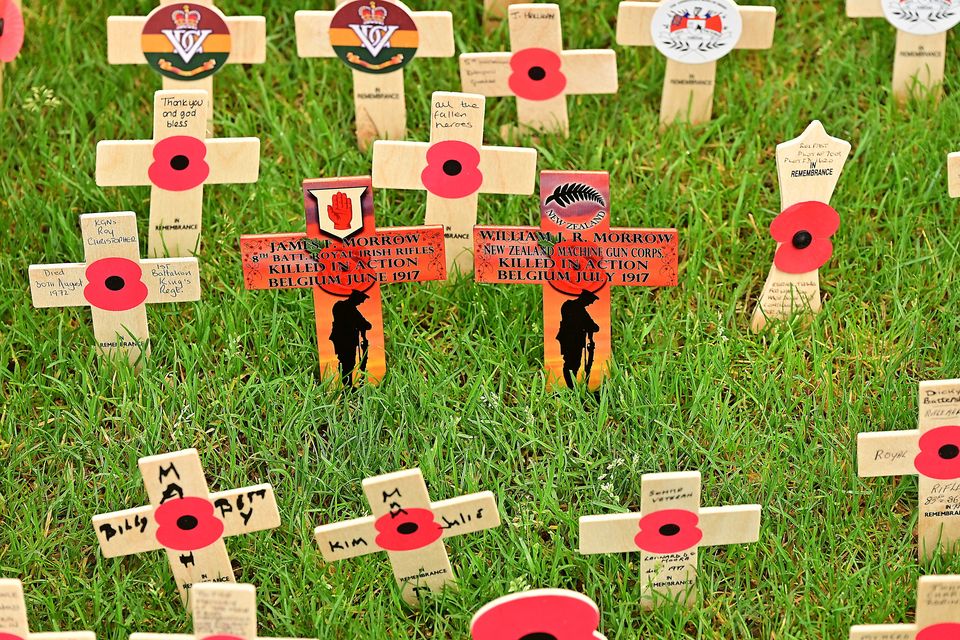 Armistice Day service takes place at Belfast City Hall