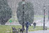 thumbnail: Snow begins to fall on the Stormont Estate in east Belfast.
Picture by Jonathan Porter/Press Eye