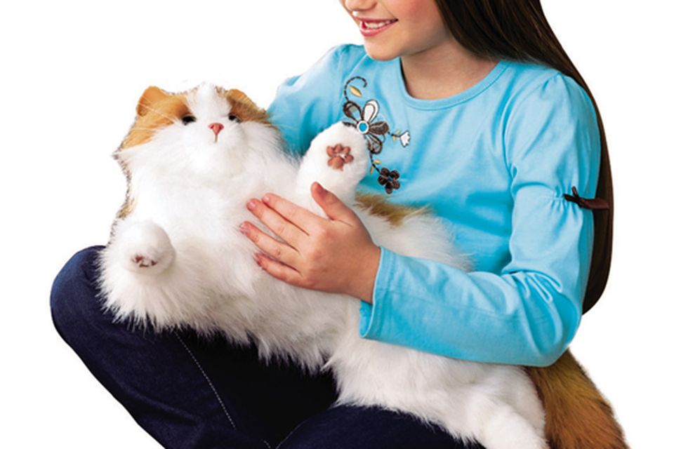 Talking hamster cat outlet toy