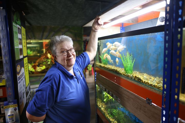 ‘It’s no harder to keep tropical fish than goldfish’: Ladysmith Pet Supplies shares dos and don’ts of home aquariums