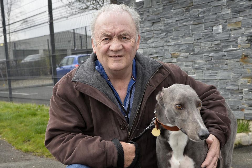 Mid-Antrim Animal Sanctuary, which has rehomed thousands of abandoned  animals is inviting you to help celebrate its 20th birthday |  