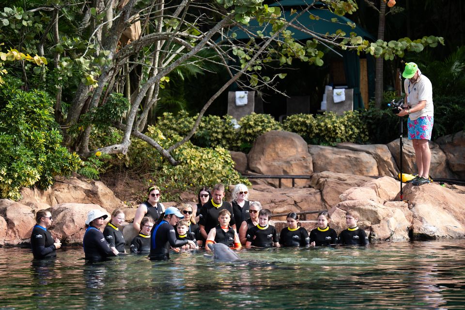 Children with a dolphin during the visit to Discovery Cove in Orlando (James Manning/PA)