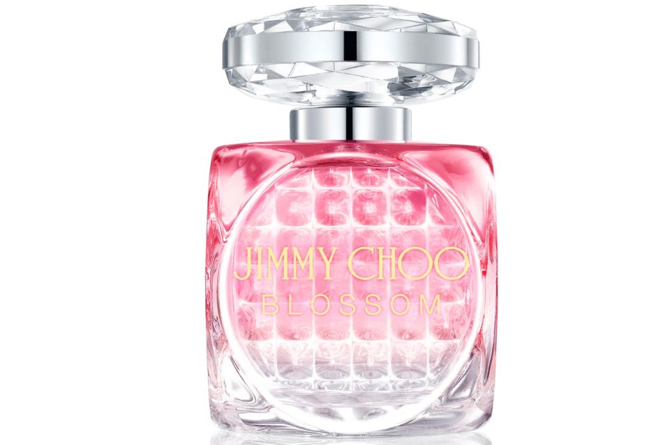 It's heaven scent: express yourself through perfume 