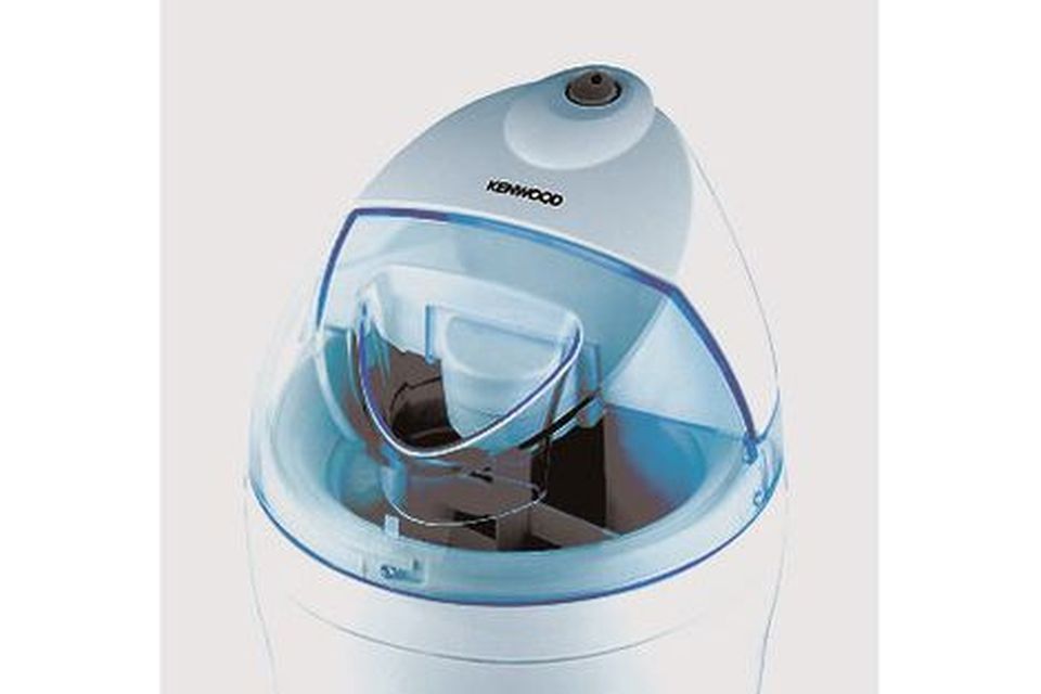 The ten best ice cream makers BelfastTelegraph.co.uk