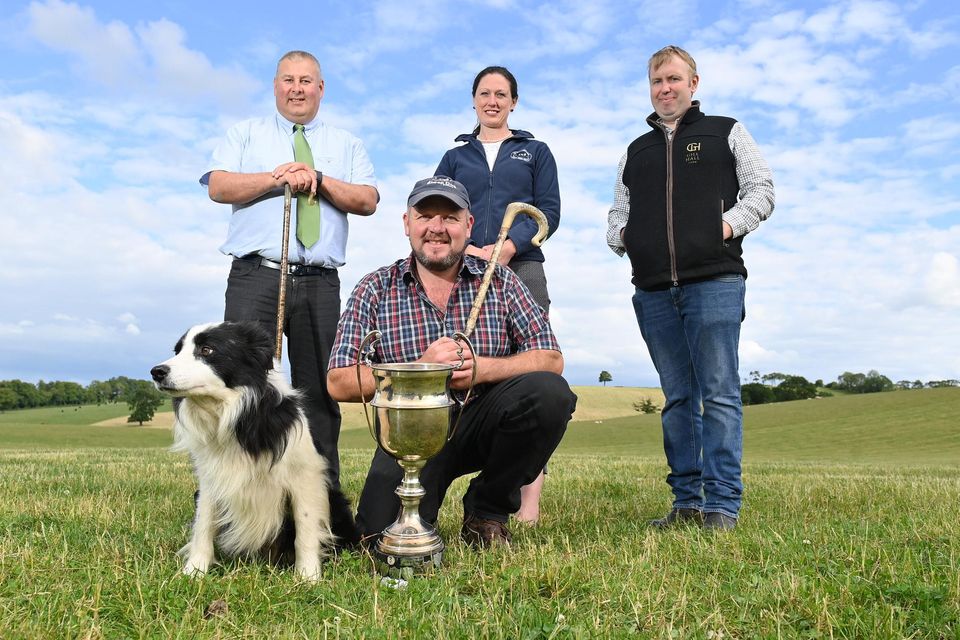 Great tail to tell NI set to host the World Sheepdog Trials for the