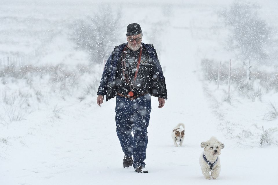 16/1/2018
Peter Wachs pictured at Divis mountain in Belfast during a heavy fall of snow with dogs Muppet and Lulu
Mandatory Credit © Stephen Hamilton