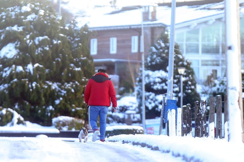 Press Eye Belfast - Northern Ireland 10th December 2017

A man walks his dog in Fourwinds outside Belfast as snow continues to lie across Northern Ireland.

Picture by Jonathan Porter/PressEye.com
