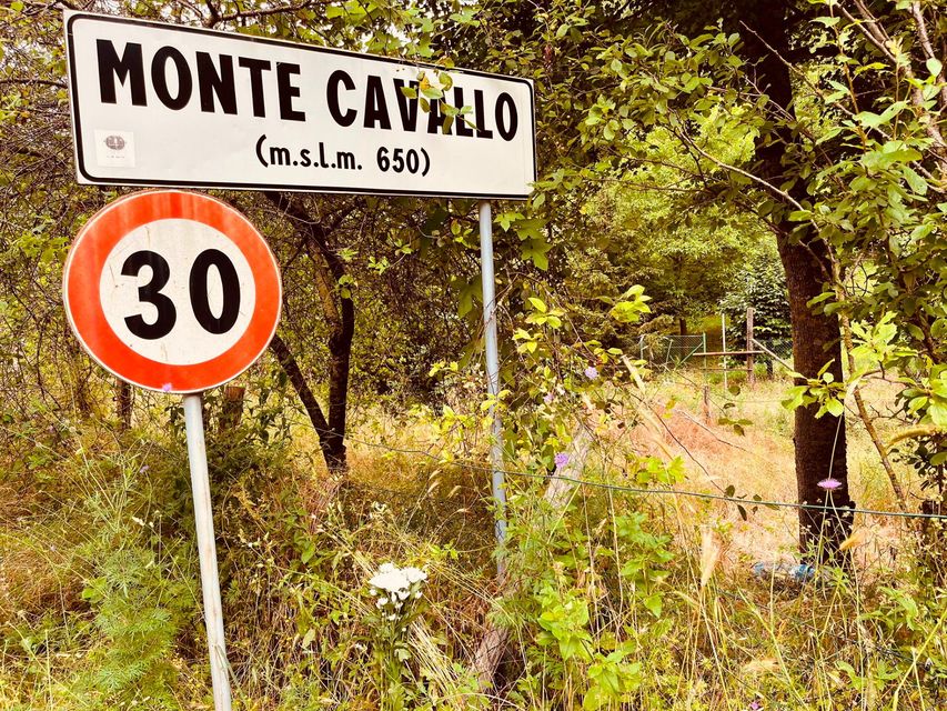Marchio Monte Cavallo