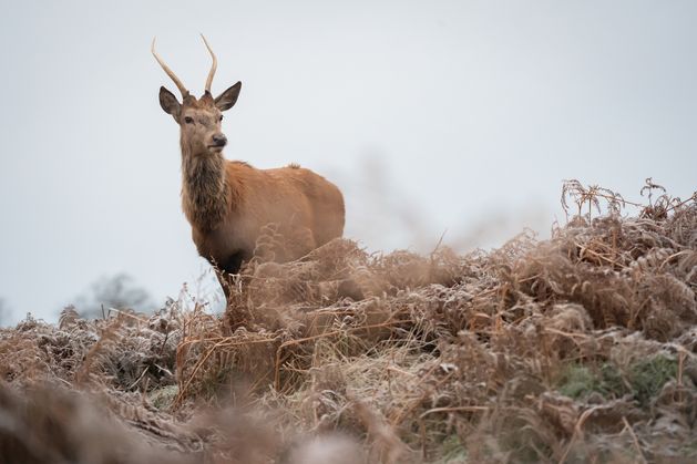 Fresh weather warnings issued as icy weather brings travel disruption