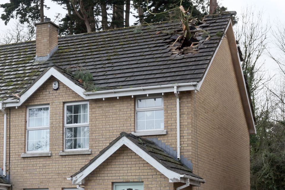 A house in Whiteabbey village, Co. Antrim was badly damaged when a tree blown down during Storm Eowyn crashed through the roof. Credit: STEPHEN DAVISON/PACEMAKER