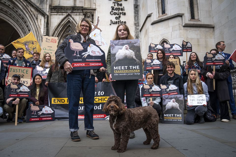 Animal welfare supporters outside the Royal Courts Of Justice in London (Ben Whitley/PA)