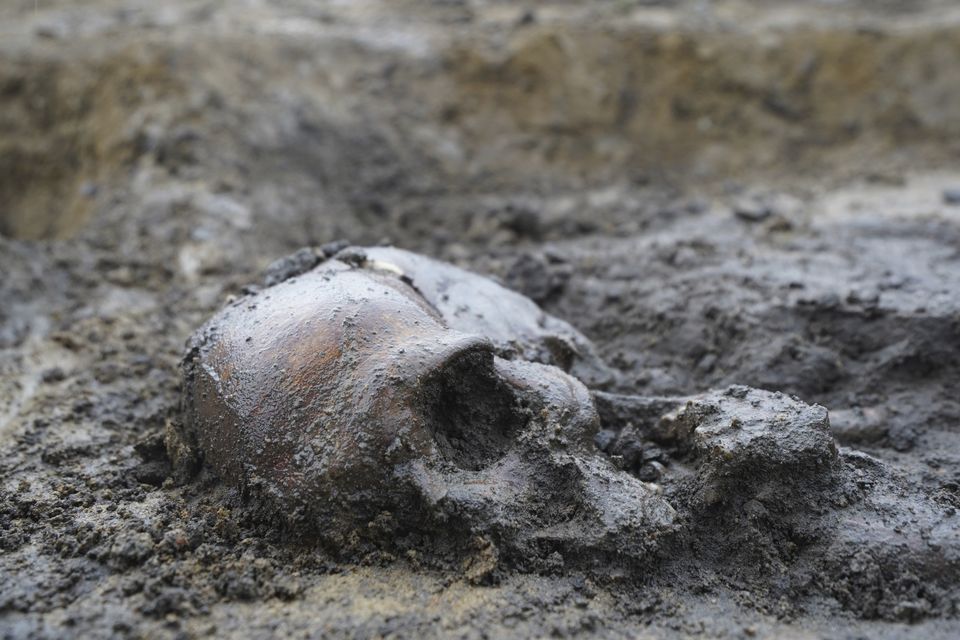 The quality of the soil means the skeletons are remarkably well preserved (AP)