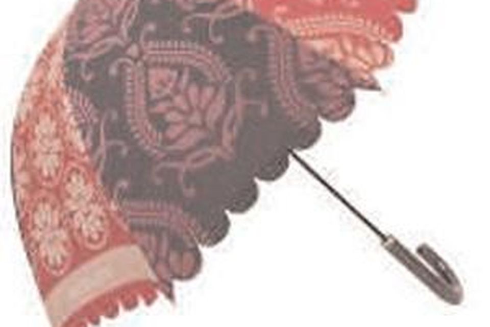 The ten best umbrellas BelfastTelegraph.co.uk