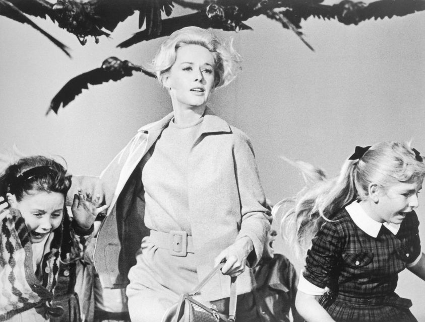 A still from the film 'The Birds' directed by Alfred Hitchcock (Photo by Universal Studios/Getty Images)