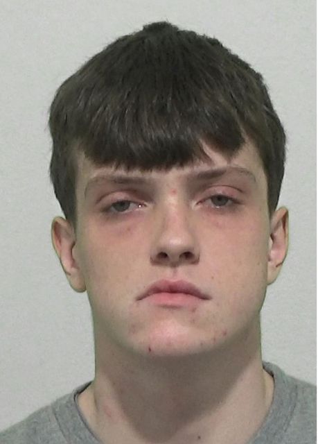 Riley Adey, 19, was sentenced to two years in a young offenders’ institution (Northumbria Police/PA)