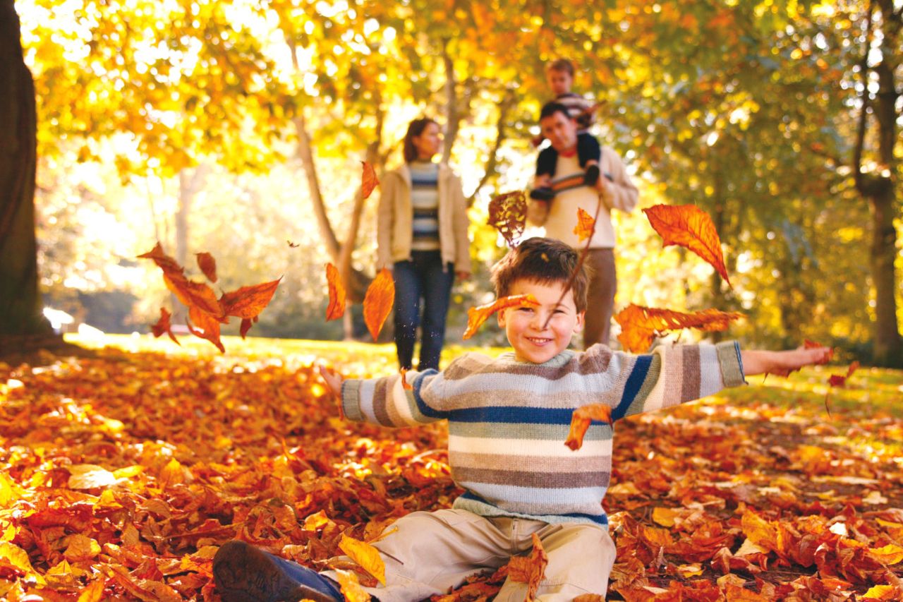 Half-term fun for all at Cardiff's Autumn Playday