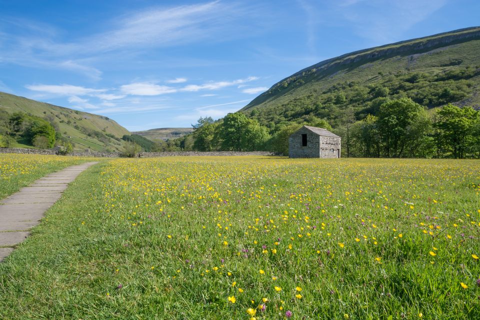 SSSIs are designated for features such as flower-rich grassland (Alamy/PA)