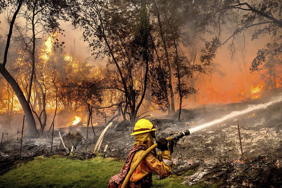 Firefighters battle the Park Fire in Butte County (Noah Berger/AP)