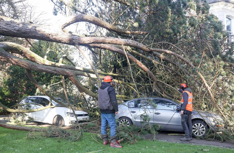 Clear up by contractors from Clive Richardson Ltd begins on Cyprus Avenue in east Belfast (Credit: Jonathan Porter/PressEye)