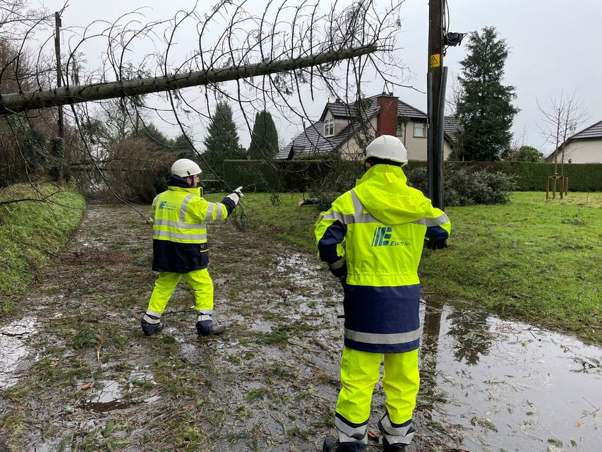 Electricity engineers inspect damage by fallen trees in Co Down (Jonathan McCambridge/PA)