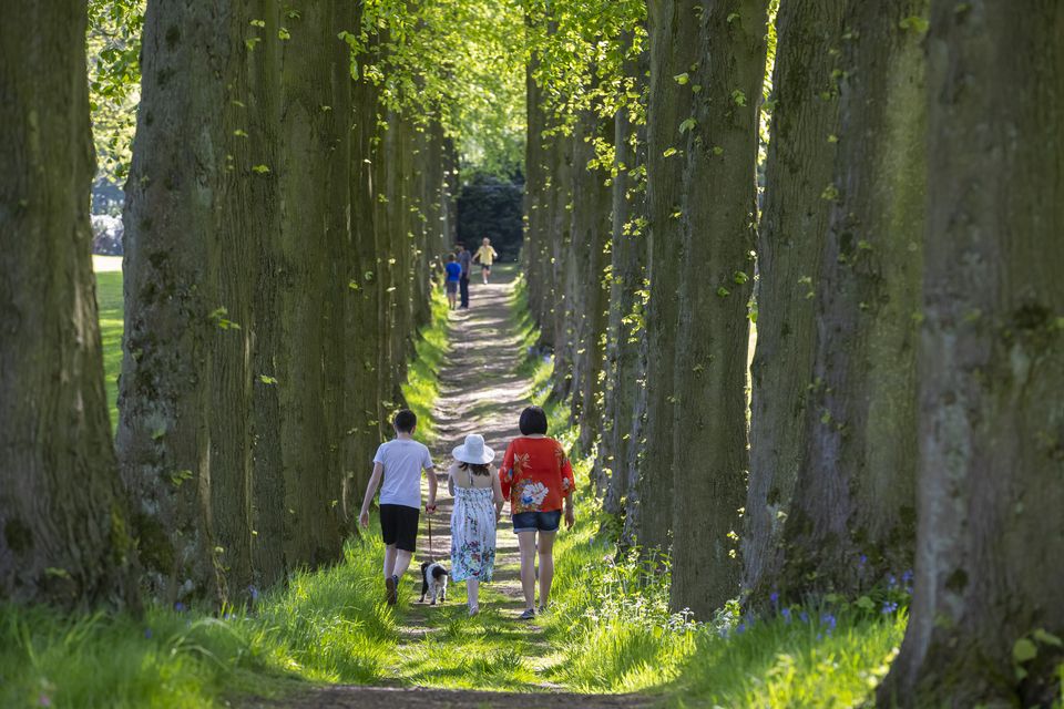 The National Trust says it wants to tackle the inequality in access to green space and heritage (Chris Lacey/National Trust/PA)