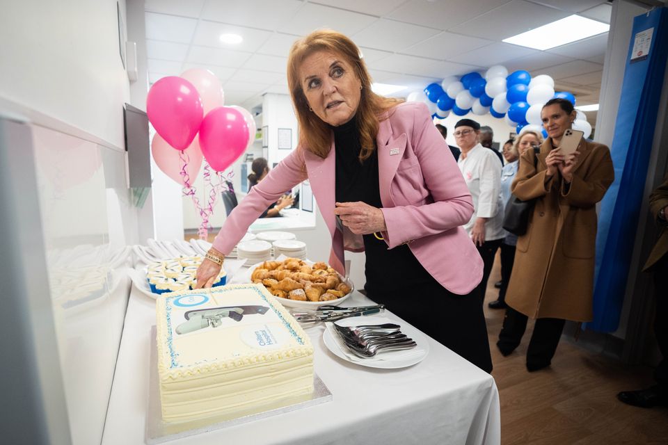 The duchess cuts a cake as she opens the refurbished unit (James Manning/PA)