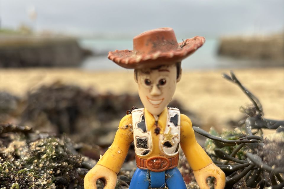 Toy story: Woody was among the detritus found by the beach cleaners