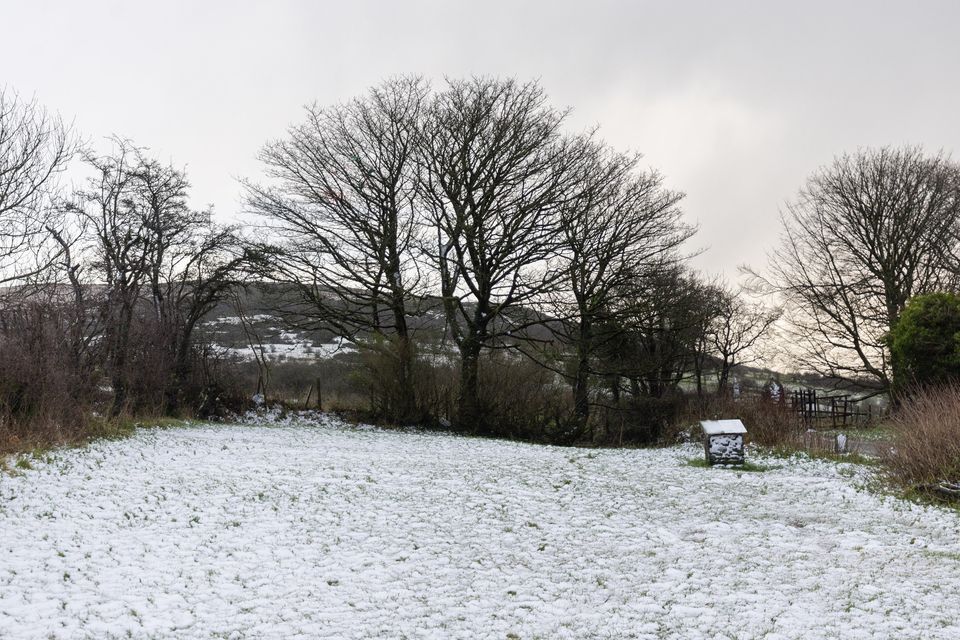 Cave Hill in the snow on the 22nd December 2024 (Photo by Luke Jervis / Belfast Telegraph)