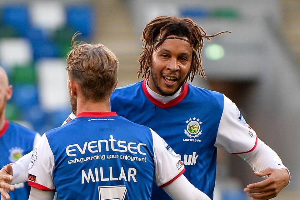Linfield 3 Dungannon Swifts 0: Matt Green takes his chance to make the  difference | BelfastTelegraph.co.uk