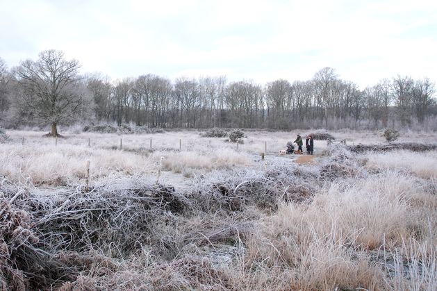 UK sees coldest January night in 15 years as winter snap continues