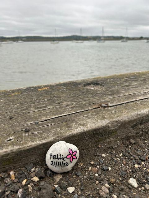 One of the rocks in North Fambridge (Lexi Peters/PA)