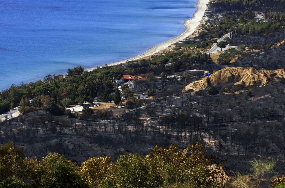 Thousands of firefighters have been dispatched to tackle the blazes from both land and by air (DIA Images via AP)