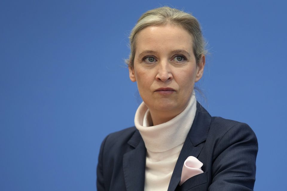 Alice Weidel, co-leader of the Alternative for Germany Party (Markus Schreiber/AP)