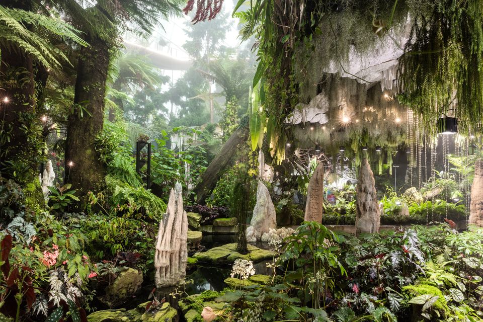 Cloud forest at The Gardens of The Bay. Photo: Visit Singapore