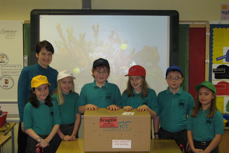 Leadhill Primary School in east Belfast | BelfastTelegraph.co.uk