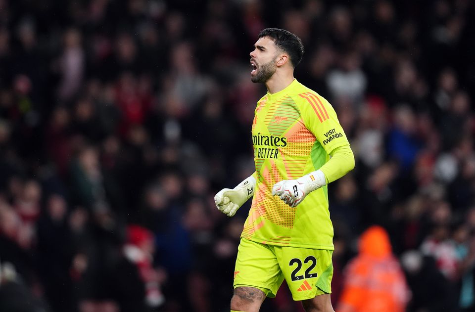 David Raya kept a clean sheet (John Walton/PA)