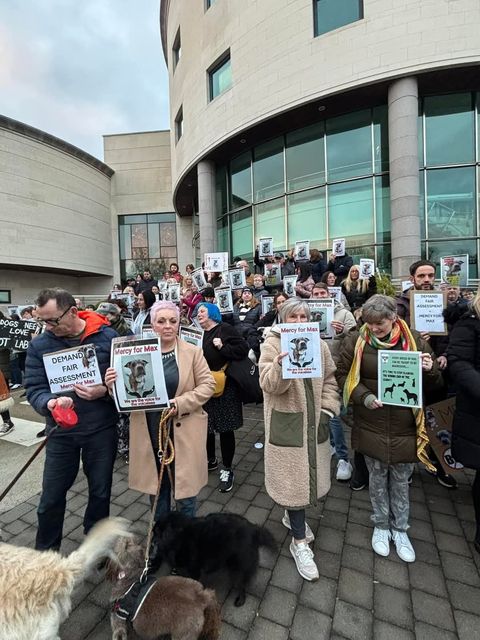 Supporters of Max the dog gathered in protest at Lisburn and Castlereagh Council offices on Saturday afternoon.