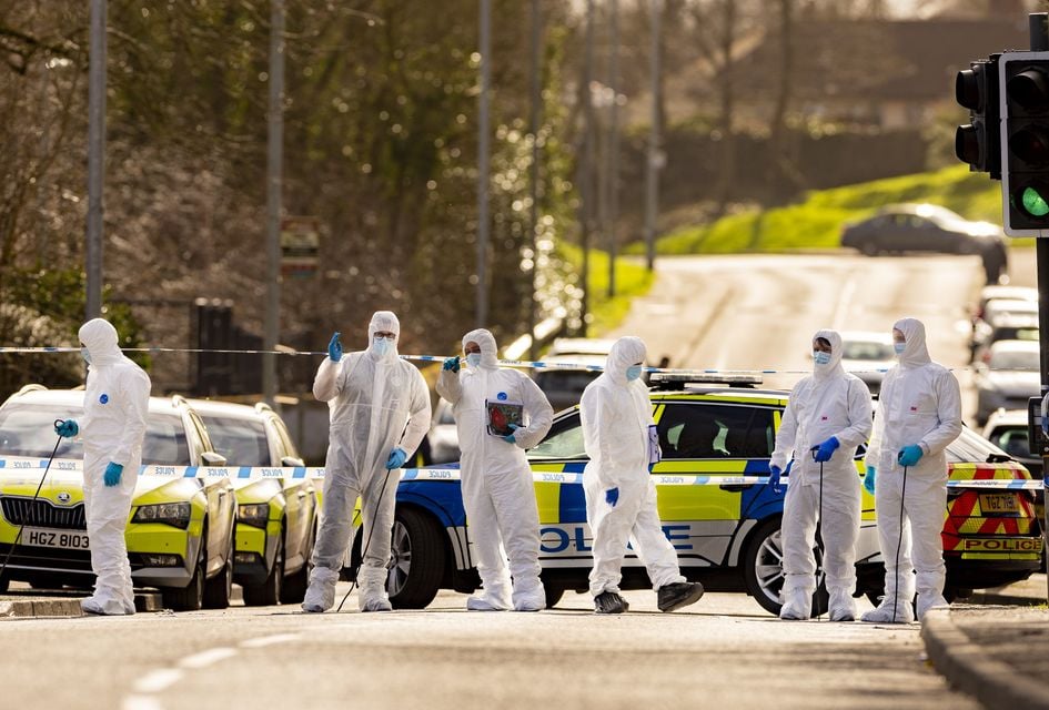 Specialist search teams sweep the Bell Steel Manor area of west Belfast on February 24th 2025 following a shooting incident (Photo by Kevin Scott)